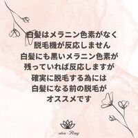 画像1903