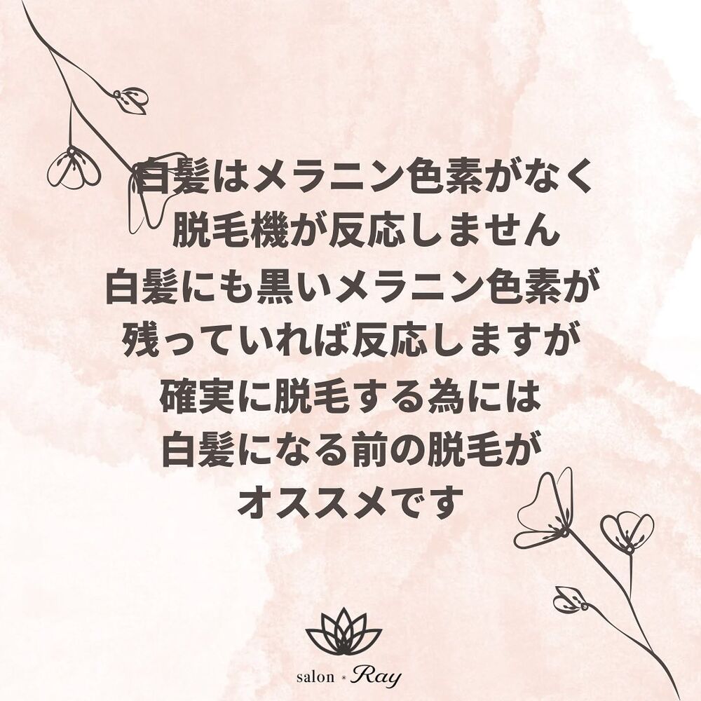 画像1903