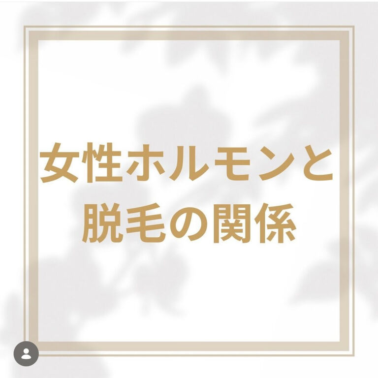 画像2922