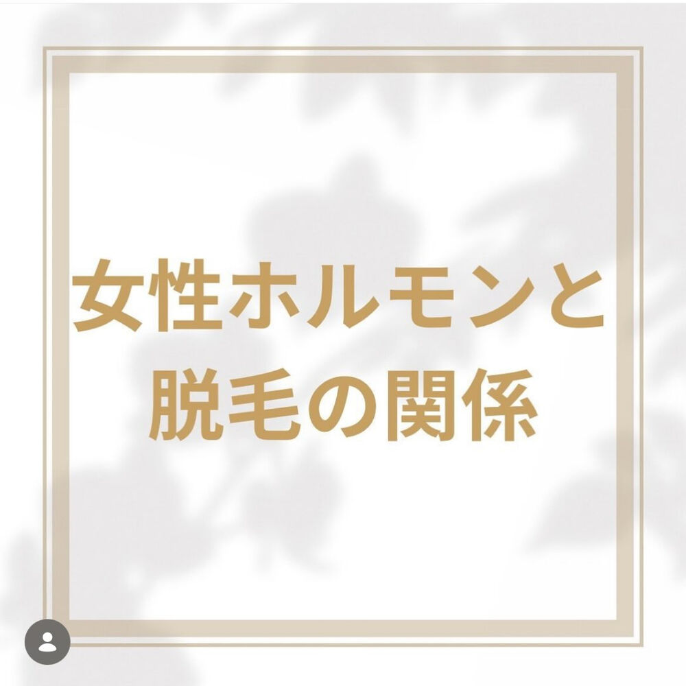 画像2922